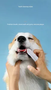 Macro view of white pet teeth cleaning wipes used on dog gums to remove plaque and tartar