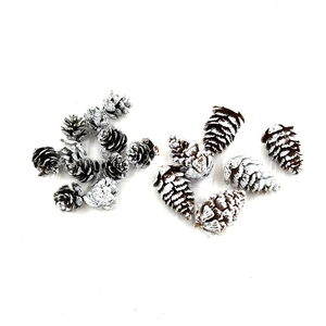Detail of decorative white-tipped pine cones for Christmas crafts and DIY home decor