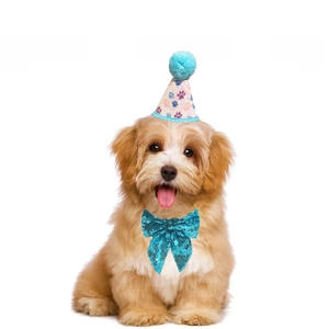 Blue sequined pet birthday hat and matching bow tie set for dogs and cats on white background