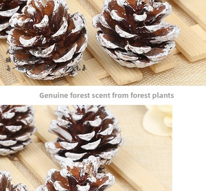 Macro detail of natural brown pine cones with white snow coating for Christmas decor