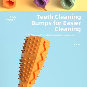Close-up of orange dog chew toy with textured cleaning bumps for dental health care
