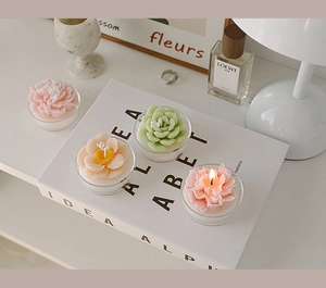 Close-up of succulent and flower shaped scented candles in clear holders on a desk