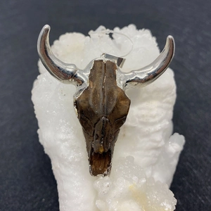 Macro detail of silver-plated bull skull pendant with dark brown textured fossil effect