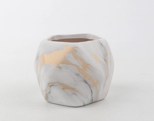 Macro detail of white marble texture ceramic succulent pot with elegant gold foil accents