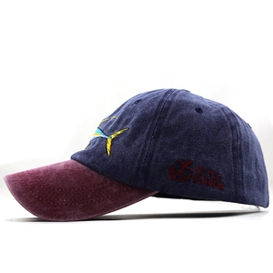 Detail of navy and red baseball cap featuring side embroidery and curved brim