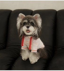 Détail d'un sweat à capuche rayé rose et orange pour chien posé sur un canapé en cuir