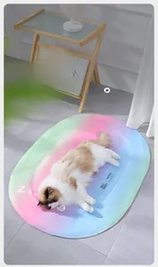 Rainbow gradient pet cooling mat for cats and dogs during summer rest at home