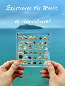 Outdoor hand-held view of a 30-slot acrylic shell specimen box with ocean background