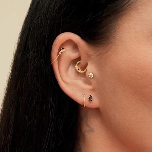 Detail showing assorted gold geometric S925 silver cartilage earrings with star motif