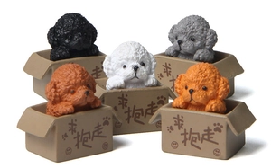 Detailed view of five colorful resin teddy dog figurines sitting in cardboard boxes
