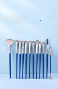 Detailed set of 13 professional eye makeup brushes with blue handles and soft bristles
