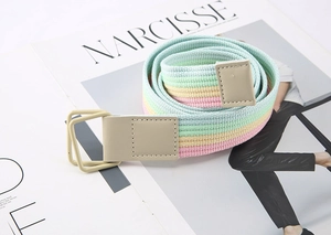 Detail of striped canvas belt with pastel macaron tones and metal double ring buckle