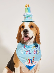 Beagle dog wearing light blue happy birthday bandana and party hat set for pets