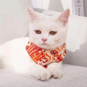 Detail of adjustable pet bandana with traditional red and orange patterns on a white cat