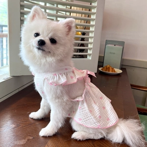 Detail of pink and white heart pet dress with ruffle hem and back bow tie decoration