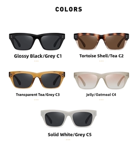 Collection of polarized square sunglasses in five classic colors for stylish eye protection