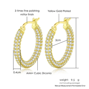 Luxe 2cm gold-plated hoop earrings with AAA+ cubic zirconia and polished finish