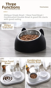 Three-in-one pet feeding station with stainless steel bowls and auto water dispenser