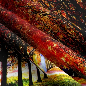 Detail view of polyester autumn forest tapestry with high-density digital printing