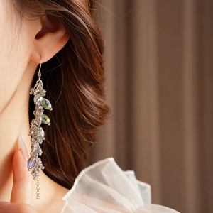 Detailed view of silver tassel earrings featuring iridescent crystal beads on model