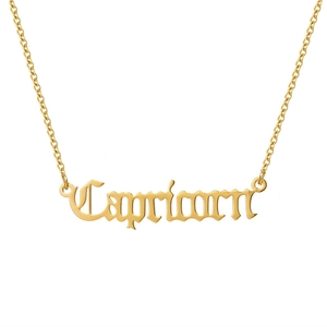 Dettaglio della collana in acciaio dorato con pendente Capricorno su sfondo bianco