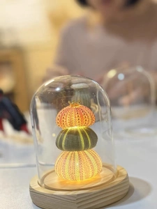 Detailed view of sea urchin shell lamp with crown top and warm LED light in glass dome