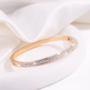 Macro shot of gold plated titanium steel bangle with multi-row sparkling zircon stones