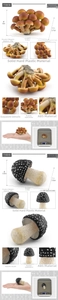 Detailed dimensions and weight of realistic ABS plastic mushroom and fly agaric models