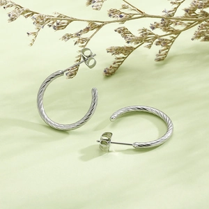 Detail shot of silver twisted C-shaped earrings with butterfly back on light green background