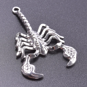 Detailed view of silver stainless steel scorpion pendant with intricate carving details