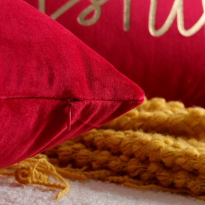 Red velvet pillow cover detail, soft plush cushion case with zipper, modern home decor.
