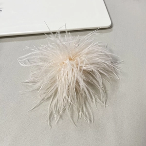 Detail of soft cream ostrich feather brooch with fluffy texture and elegant round shape