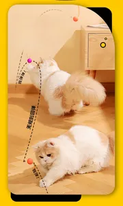 Action shot of cats playing with a colorful elastic silicone ball toy and feather