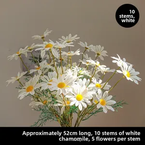 Detail showing 52cm white chamomile stems with yellow centers and green leaves