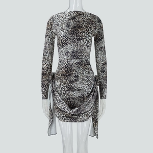 Detail of leopard print long sleeve dress with ruched side drawstring and irregular hemline