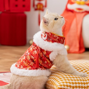 Red cat Tang suit with floral embroidery and white faux fur trim for New Year