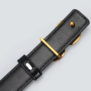 Slim black leather belt for women with gold buckle and荔枝 texture on light background