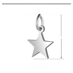 Gedetailleerde maattabel van een 6x10mm gepolijste stalen ster hanger voor DIY sieraden