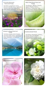 Detailed fragrance notes chart for smart atomizer including floral and woody scent profiles