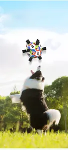 Action shot of a dog jumping to catch a colorful training soccer ball with nylon tabs