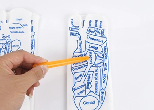 Detail of white reflexology socks with English organ maps and orange massage stick tool