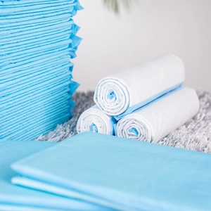 Thick disposable pet training pads for dogs and cats with absorbent blue and white layers