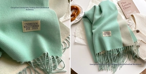 Detailed macro view of mint green and cream cashmere-like scarf with fringe and brand label