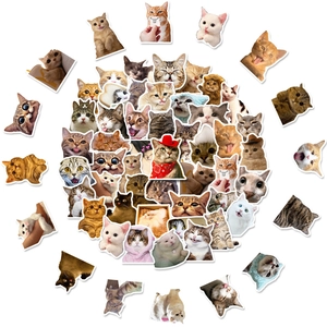 Variety pack of 50 cute cat stickers featuring multiple breeds and funny expressions