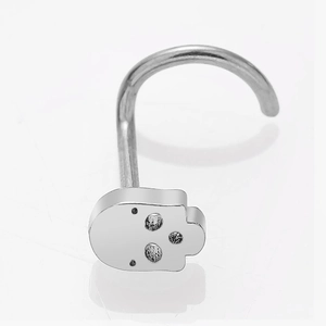 Macro shot of silver stainless steel skull nose stud with smooth polished metal finish