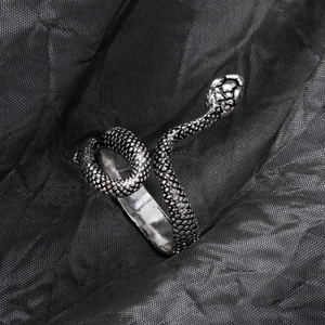 Detailed macro shot of vintage silver snake ring with realistic scale texture