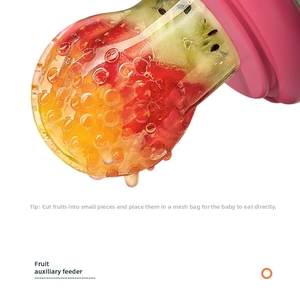 Detail of baby fruit feeder with silicone mesh bag filled with fresh strawberry and kiwi