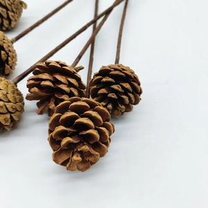Detailansicht von natürlichen Tannenzapfen mit Holzstäben für Weihnachtsdekorationen