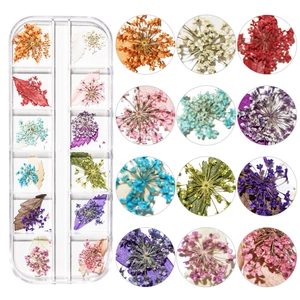 12-grid box of assorted dried flowers for nail art with various colorful petals
