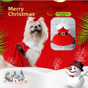 Detail of red velvet Christmas dog dress with white faux fur trim and gold buckle belt